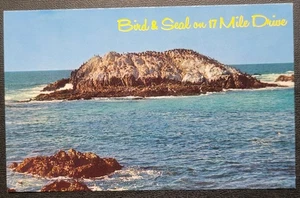 Cartolina d'epoca - Bird & Seal Rock - 17 miglia di auto - California - Sea Lions - Foto 1 di 4
