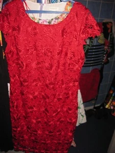 M&CO red formal/party dress uk14 BNWT RRP £69 - Picture 1 of 4