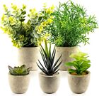 Decorative Artificial Plants in Pots Set of 5 - Small Plastic Fake Plants Indoor