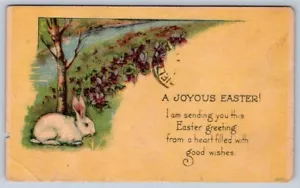 Una Pasqua gioiosa, auguri pieni di cuore, coniglietto coniglio, antica cartolina 1920 - Foto 1 di 2