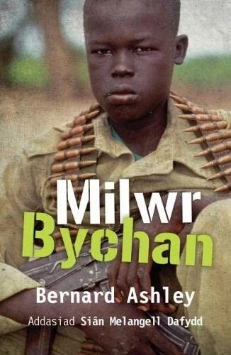 Milwr Bychan By Bernard Ashley - image 1 of 1
