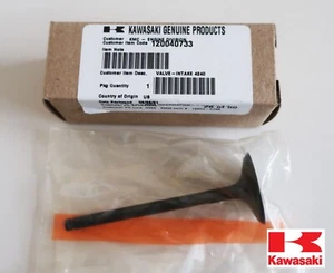 OEM INTAKE VALVE, 12004-0733, KAWASAKI FR651V, FR691V, FR730V, 11B5 - Picture 1 of 1