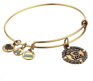 Alex and Ani Because I Love You Charm Bangle Bracelet Swarovski Crystal NEW BOX - Picture 1 of 4