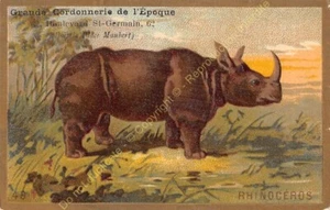 Chromo GAUFRE EMBOSSED ANIMAUX RHINOCEROS n49 - Picture 1 of 2