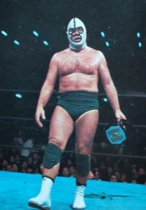 Rare All Japan Pro Wrestling Mini Card No.1 The Destroyer Masked wrestler Used - Picture 1 of 5