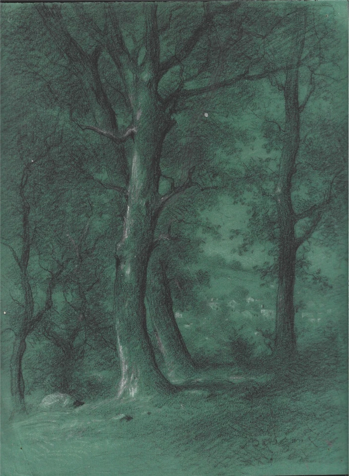 Dessin ancien XIX- paysage de foret -époque romantique - Photo 1/1