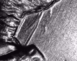 2009-P Lincoln Formative Year Die Clash "Catfish" - Chin Hair Penny - Error Cent - Picture 1 of 8