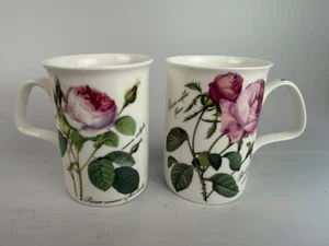 Two 2006 Redoute Roses Rosa Tea Cups Mugs Bone China England Roy Kirkham - Picture 1 of 5