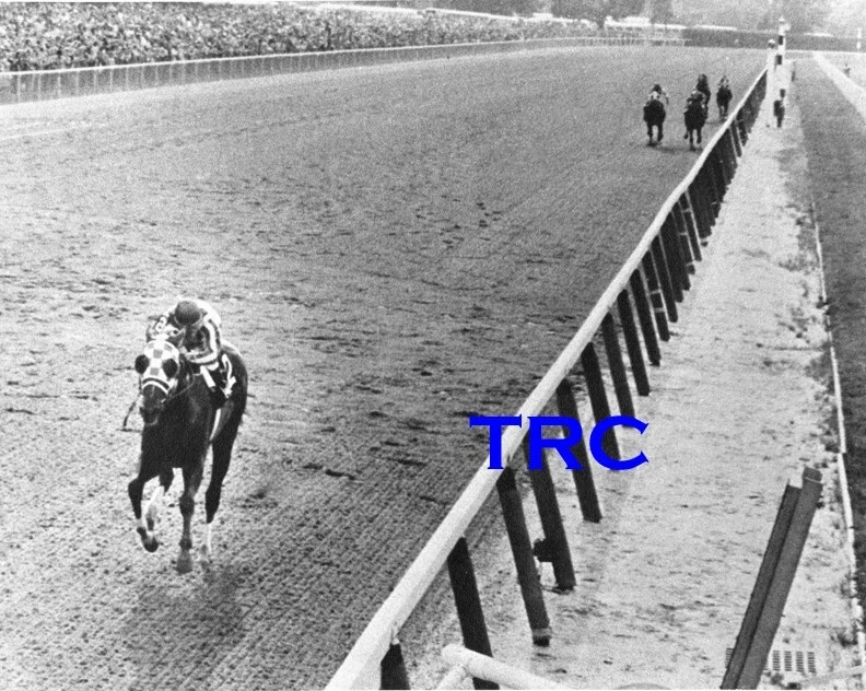 SECRETARIAT GRAN FOTO DE CARRERAS DE CABALLOS 8X10 DE 31 LONGITUDES BELMONT ESTACAS ¡GANA! Foto 1 de 1