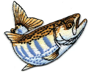 STRIPED TROUT FISH Iron On Patch FISHING FRESHWATER - Picture 1 of 1