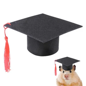 Mini Bachelor Hat Pet Caps Graduation Hat for Dogs Dog Costume Dress up Black - Picture 1 of 11