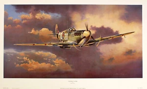 Adrian Rigby "Freedom Fighter" spitfire 222 squadron Brown Fine art print - Picture 1 of 2