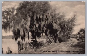 Tarjeta postal Twin Oaks Lake Highlands Clermont FL Florida I9 - Imagen 1 de 3