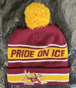 Cappello berretto Minnesota Golden Gophers hockey berretto slittino touque inverno pom - Foto 1 di 22