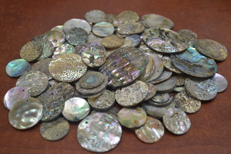 100 PIEZAS SURTIDO MEZCLA REDONDO ABULÓN CONCHA DISCO COLGANTE EN BLANCO Foto 1 de 1