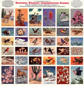 1948 National Wildlife Conservation Stamp Sheet, 36 Animal Stamps MINT CONDITION - Picture 1 of 5