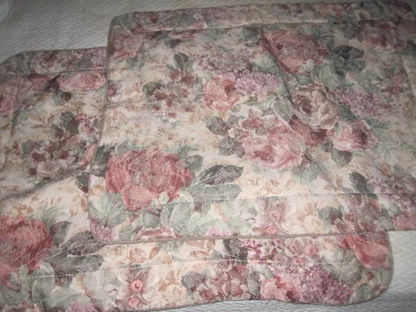 CROSCILL COTSWOLD CINNAMON GREEN CREAM FLORAL (2PC) STANDARD SHAMS 24" X 28" - Image 1 of 4