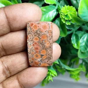 Poppy Jasper Natural Poppy Jasper Cabochon Loose Gemstone Jewelry 32 Ct.ME-14158 - Picture 1 of 3