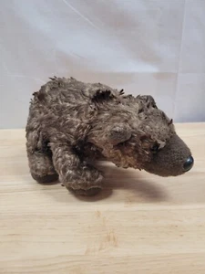 Webkinz Grizzly Bear Plush No Code Realistic Tipped Doll - Picture 1 of 6