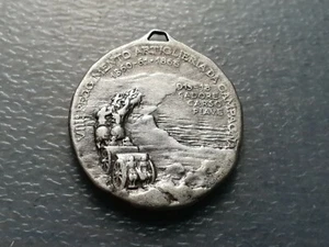 ITALIA I GUERRA MUNDIAL WWI VIII REGIMIEN ARTILLERIA CAMPAÑA CADORE CARSO PIAVE  - Foto 1 di 2