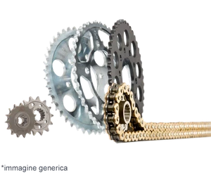 KIT TRASMISSIONE CATENA DID CORONA +2 PIGNONE HONDA CB 600 F HORNET 2007 2008 - Imagen 1 de 1