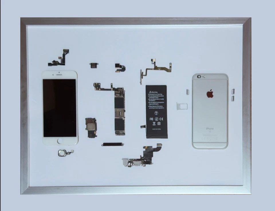 iPhone 6s - Teardown Art - Immagine 1 di 1