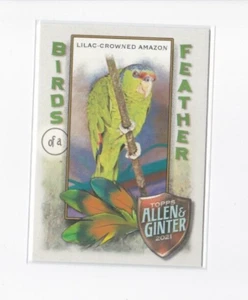 LILAC-CROWNED AMAZON 2021 ALLEN & GINTER BIRDS OF A FEATHER INSERT-SHIPS FREE - Picture 1 of 21