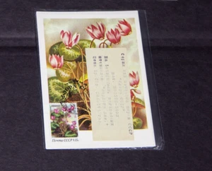 USSR Russia - POSTAL HISTORY- 5 Maximum Card - 1983 - Flowers in Original Packed - Picture 1 of 4