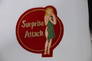 PARCHE CHAQUETA DE ATAQUE SORPRESA NARIZ ARTE A2 8A AAF SEGUNDA GUERRA MUNDIAL ALAMBRE LINGOTE - Imagen 1 de 1