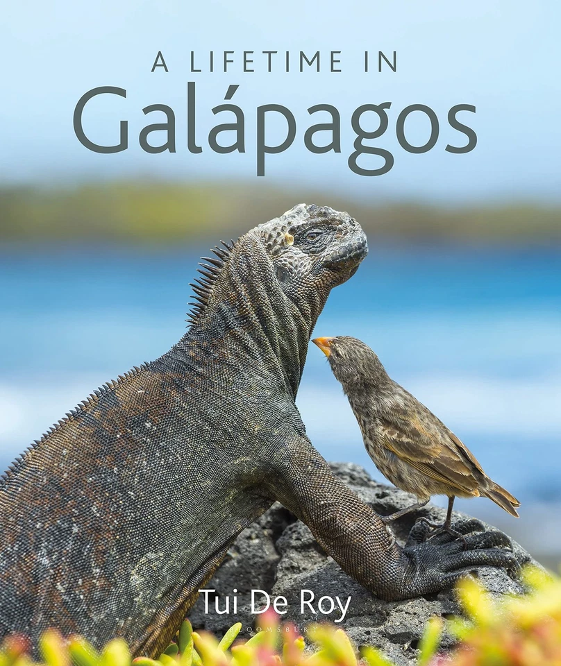 A Lifetime in Galapagos Foto 1 de 1