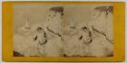 Paysage Marin Uk Possible C1870 Photo Stereo Vintage Albumine P70l9n26