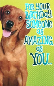 Pop-Up BIRTHDAY Card, Dacshund Dog Animals Round A Paws by American Greetings +✉ - Picture 1 of 7