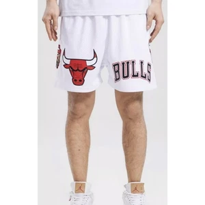 PRO STANDARD CHICAGO BULLS LOGO MESH WHITE SHORTS — 6 Inch Shorts Sz Large - Picture 1 of 11