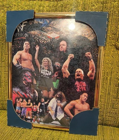 WWF ATTITUDE ERA 8" x 10" POSTER Framed vintage wrestling Rock Austin DX WWE 90s Cover