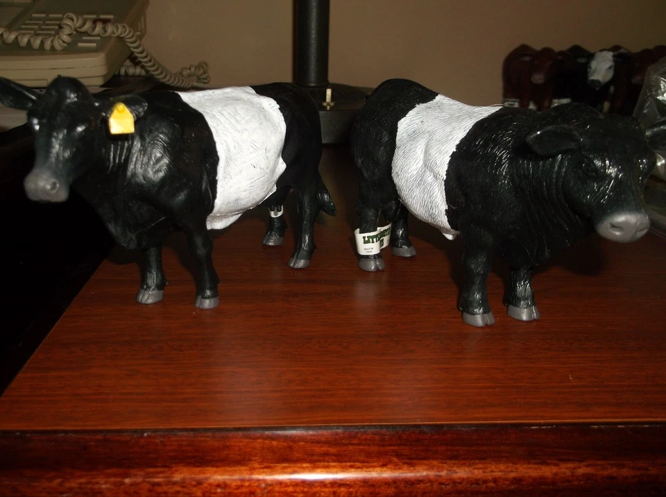 LITTLE BUSTER BLACK BELTED PAIR BULL, COW - Image 1 of 1