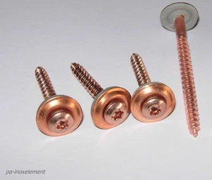 Tornillos de suspensión acero inoxidable A2/CU cobre TX 2 piezas con disco de sellado 15 mm - Imagen 1 de 1