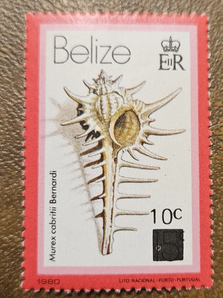 Carcasa revalorizada Belice 1981 (Scott 422; SG 621) MNH Foto 1 de 1