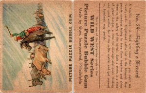 R172 Gum Inc, Wild West Series, Series B, 1937 #29 Fighting a Blizzard - Picture 1 of 1