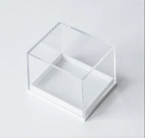 Cajas de exhibición coleccionables fósiles de joyería poco profundas cúpula alta de plástico transparente - Imagen 1 de 1