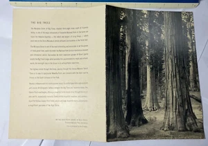YOSEMITE AHWAHNEE MENU May 20 58 6"x8-1/2" Ansel Adams Mariposa Grove Big Trees - Imagen 1 de 2