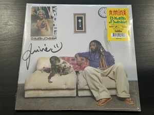 AMINE AMINÉ 13 Months of Sunshine SIGNED GREEN VINYL SEALED [BRAND NEW!] - Picture 1 of 4