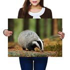 A2   Badger British Wild Animal Poster 594X42cm280gsm 15811