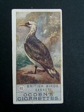 Ogden's - British Birds 2nd Series (1909) -  # 82 Gannet