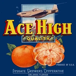 Orlando Florida Ace High Quality Brand Orange Citrus Fruit Crate Label Print - Picture 1 of 1