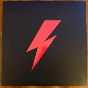 Canta David Bowie - 2LP - Foto 1 di 1