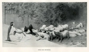 Circe and her Swine young maiden girl with pigs 1892 photoengraving art print - Picture 1 of 3