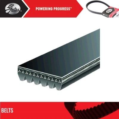 Puertas de cinturón Serpentine para Mercedes-Benz C240 V6-2,6 L 2001-2003 Foto 1 de 4