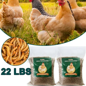22LBS Bulk Dried BSF Mealworms for Wild Birds Food Chickens Hen Fish Treats Food - Picture 1 of 9