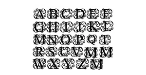 Elegant Letter Monogram • Custom Made & Professional Cut Vinyl Decal - Picture 1 of 3