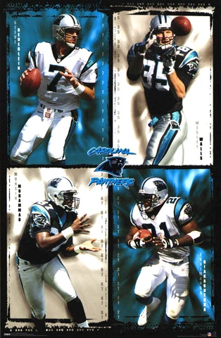CAROLINA PANTHERS 2000 22x34 POSTER - Beuerlein, Walls, Muhammad, Biakabutuka Cover